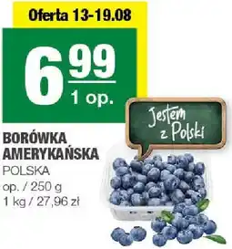 Spar Borówka amerykańska SPAR oferta