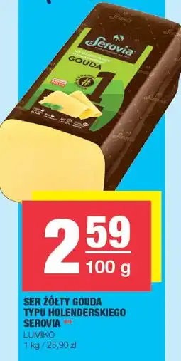 Spar Ser żółty Gouda typu holenderskiego Serovia oferta