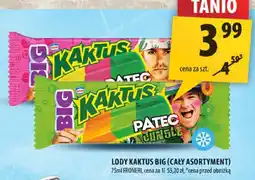 Arhelan Lody Kaktus Big oferta