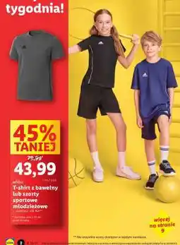 Lidl adidas T-shirt z bawełny lub szorty sportowe młodzieżowe oferta