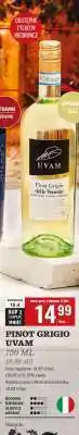 Biedronka PINOT GRIGIO UVAM oferta