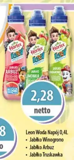 DUO-TES Leon Woda Napój Hortex oferta