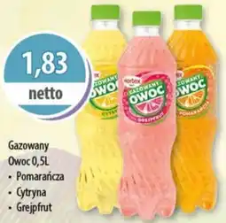 DUO-TES Gazowany Owoc Hortex oferta