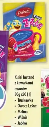 DUO-TES Kisiel Instand z kawałkami Owoców Delecta oferta