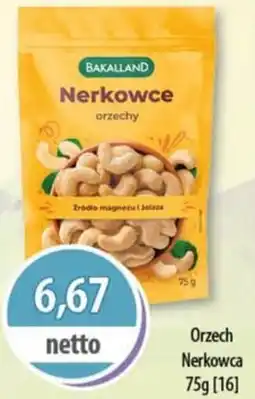 DUO-TES Orzech Nerkowca Bakalland oferta