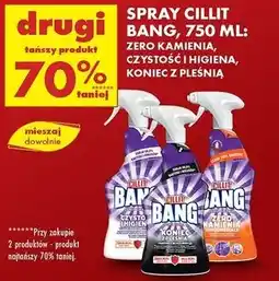 Biedronka Spray Cillit Bang oferta