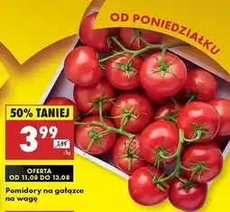 Biedronka Pomidory gałązka oferta