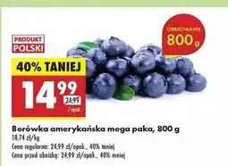 Biedronka Borówki amerykańskie w kobiałce oferta