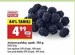 Biedronka Jeżyny polska oferta