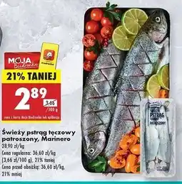 Biedronka Pstrąg tęczowy patroszony Marinero oferta