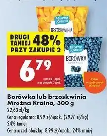 Biedronka Brzoskwinia Mroźna Kraina oferta