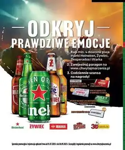 Biedronka Piwo Desperados oferta