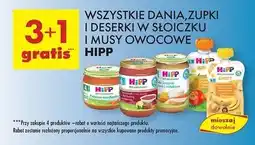 Biedronka Mus banany-gruszki-pomarańcze-mango z ryżem Hipp Bio oferta