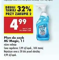 Biedronka Płyn do mycia szyb Mr Magic oferta