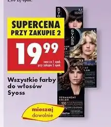 Biedronka Farba do włosów 3.1 Syoss Permanent oferta