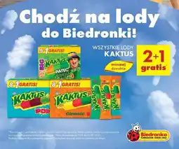 Biedronka Lody sweet & sour Nestle Kaktus oferta