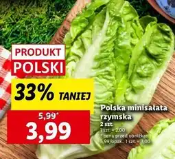 Lidl Sałata rzymska mini polska oferta