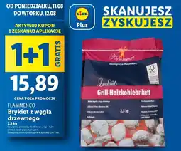 Lidl Brykiet wegla drzewnego Flammenco oferta