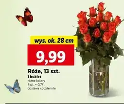 Lidl Bukiet róż oferta