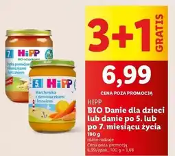 Lidl Zupka pomidorowa z kluseczkami Hipp oferta