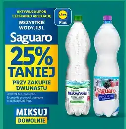 Lidl Woda owoce leśne Saguaro oferta