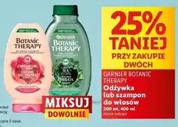 Lidl Szampon do włosów zielona herbata & eukaliptus cytrus Garnier Botanic Therapy oferta