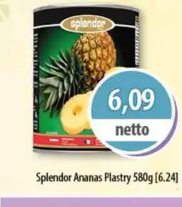 DUO-TES Splendor Ananas Plastry Levant foods oferta