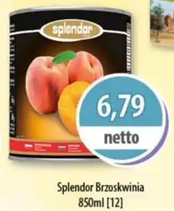 DUO-TES Splendor Brzoskwinia Levant foods oferta