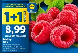 Lidl Maliny 1 opak. Lidl oferta