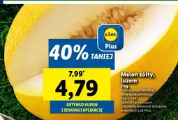 Lidl Melon żółty 1 kg Lidl oferta
