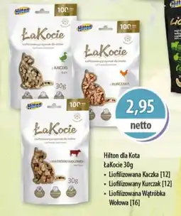 DUO-TES Hilton dla Kota Łakocie Zoo factory oferta