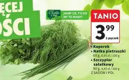 Intermarche Szczypior sałatkowy Z SADÓW I PÓL oferta