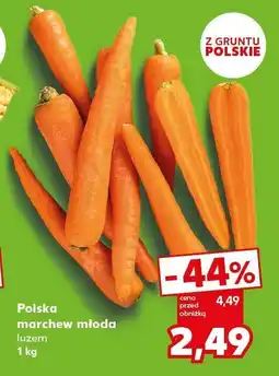 Kaufland Marchew młoda polska oferta