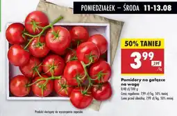 Biedronka Pomidory na gałązce Biedronka oferta
