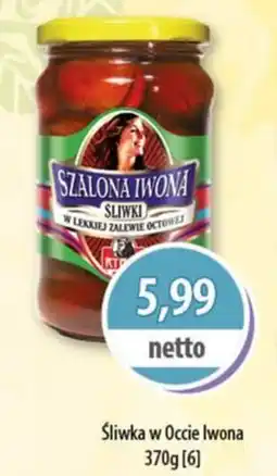 DUO-TES Śliwka w Occie Iwona Rybak oferta