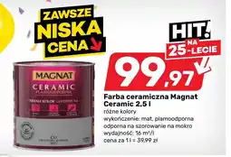 Bricomarche Farba Magnat oferta