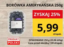 Supeco Borówka amerykańska Supeco oferta