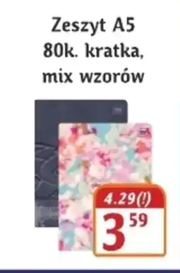 Hale Banacha Zeszyt Ok oferta
