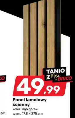Bricomarche Panel lamelowy oferta