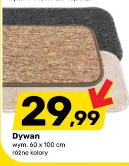 Bricomarche Dywan oferta