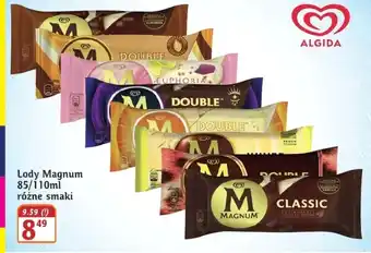 Hale Banacha Lody Magnum oferta