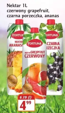 Hale Banacha Nektar Fortuna oferta