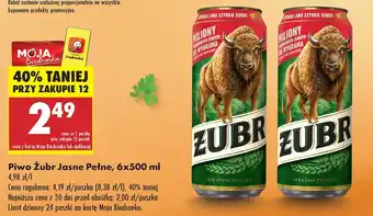 Biedronka Piwo Żubr oferta