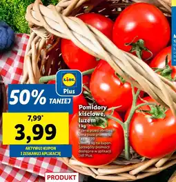 Lidl Pomidory Plus-Plus oferta