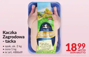 Makro Kaczka Zagrodowa tacka oferta