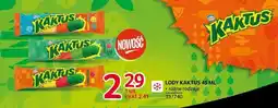 Selgros Lody Kaktus oferta