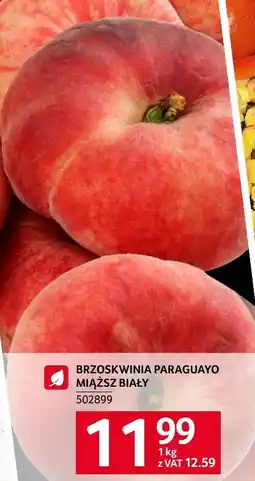 Selgros Brzoskwinia paraguayo Selgros oferta