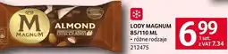 Selgros Lody Magnum różne rodzaje oferta