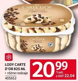 Selgros Lody Carte D'or różne rodzaje oferta