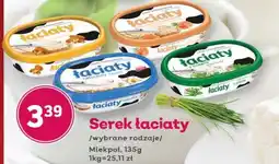 Bliski Serek Łaciaty oferta